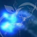 actualité précédente