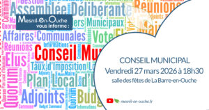 Conseil municipal en direct 