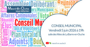 Conseil municipal en direct 
